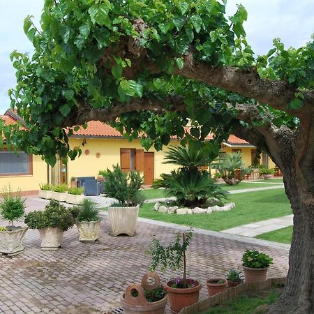 לינה וארוחת בוקר Borgo Montenero Le Terre Di Bac מראה חיצוני תמונה